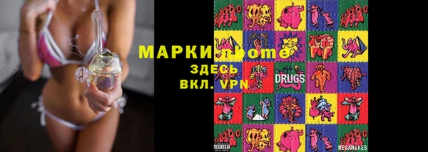 сатива Алагир