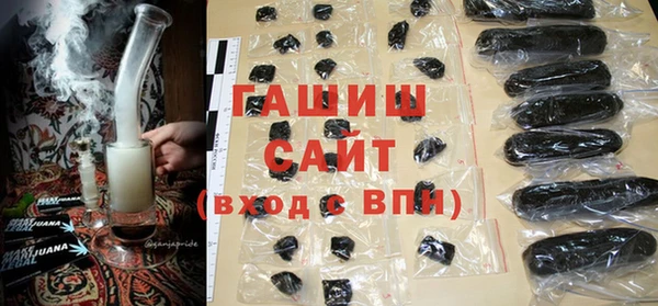сатива Алагир